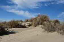 Helena West Side: sea, Sand, dune