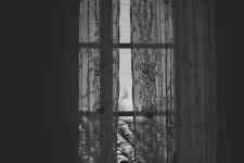 Helena West Side: window, side, curtains