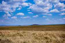 Helena Valley Northwest: kenya, BUSH, grassland