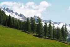 Helena Valley Southeast: forest, mountains, alps