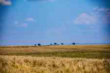 Helena Valley Southeast: kenya, BUSH, grassland