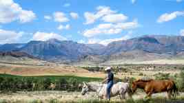 Helena: montana, cowboy, horses