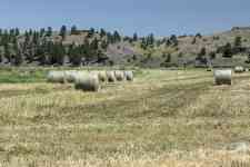 Helena: mountains, montana, hay