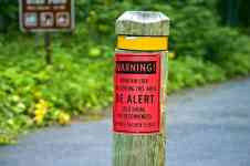 Helena: warning, sign, mountain lion warning